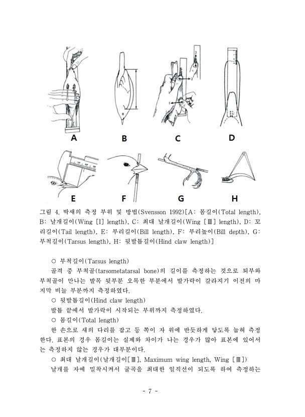 7페이지