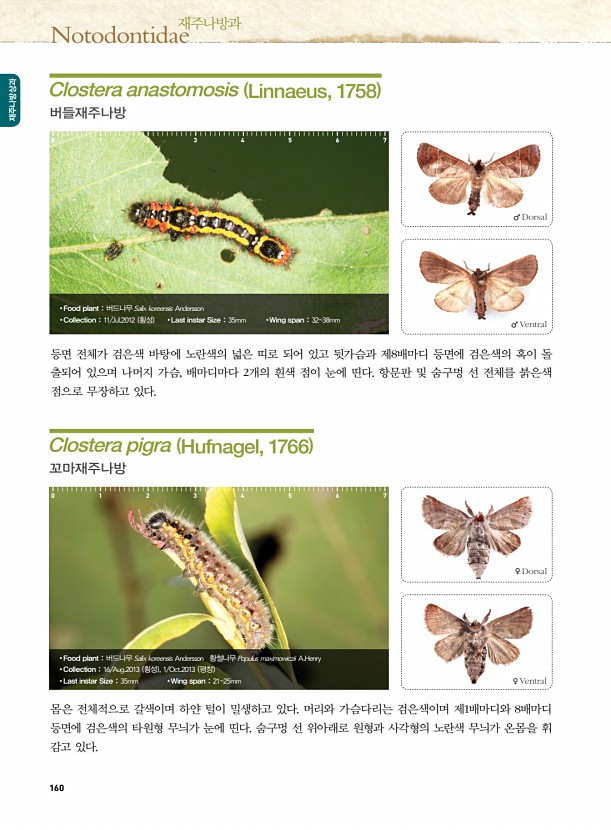 152페이지