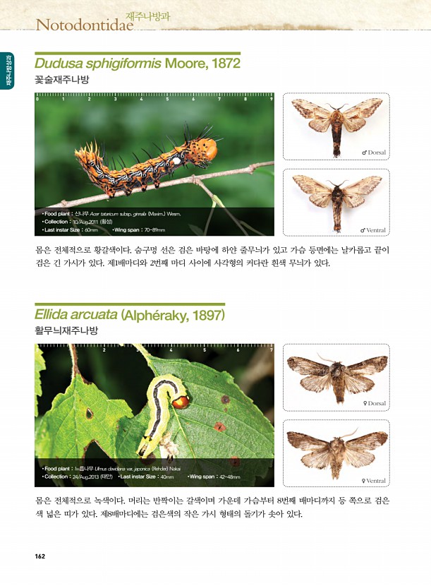 154페이지