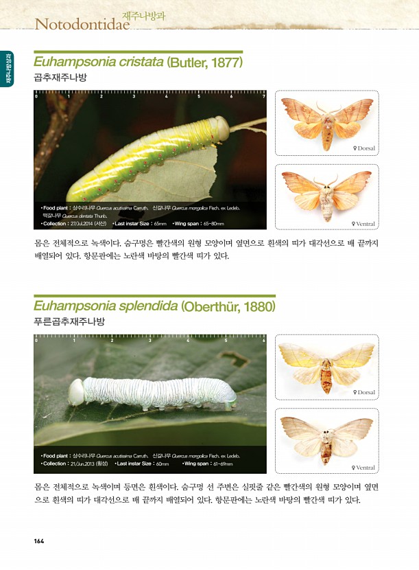 156페이지