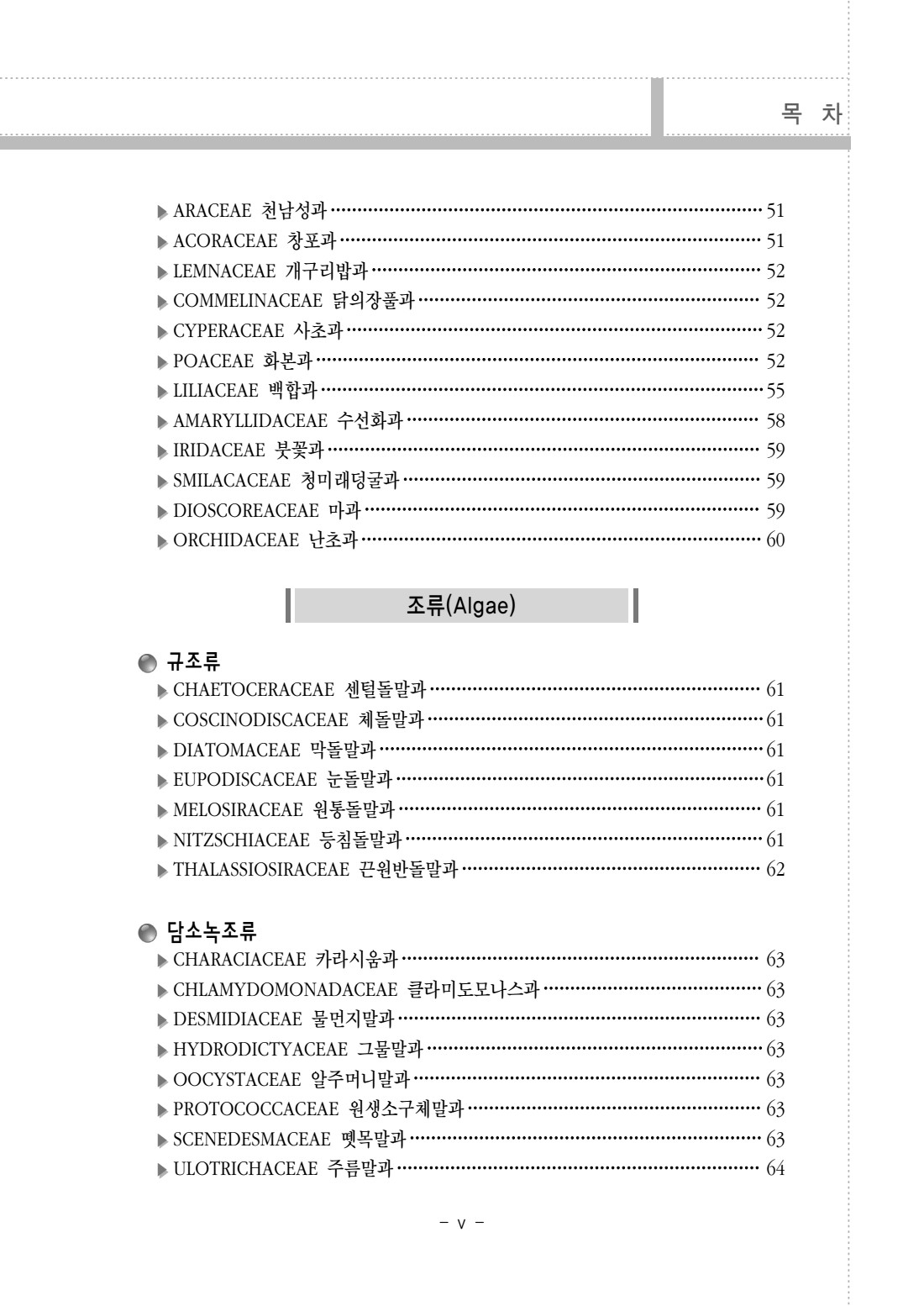페이지