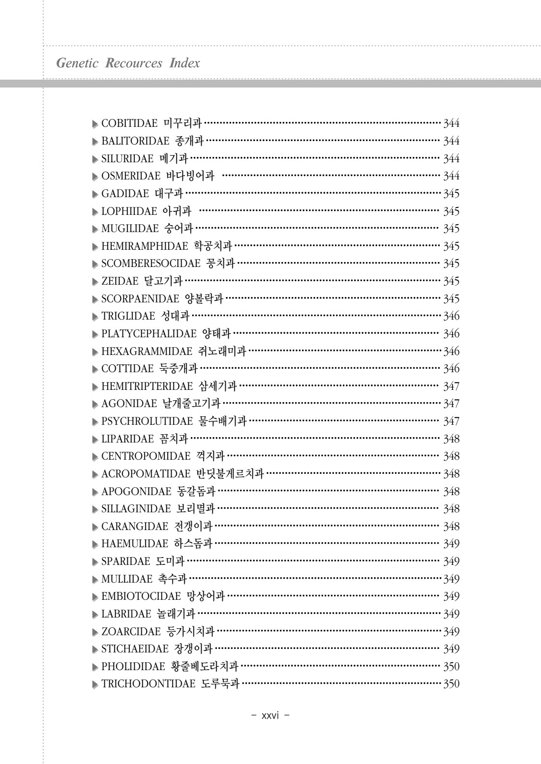 페이지