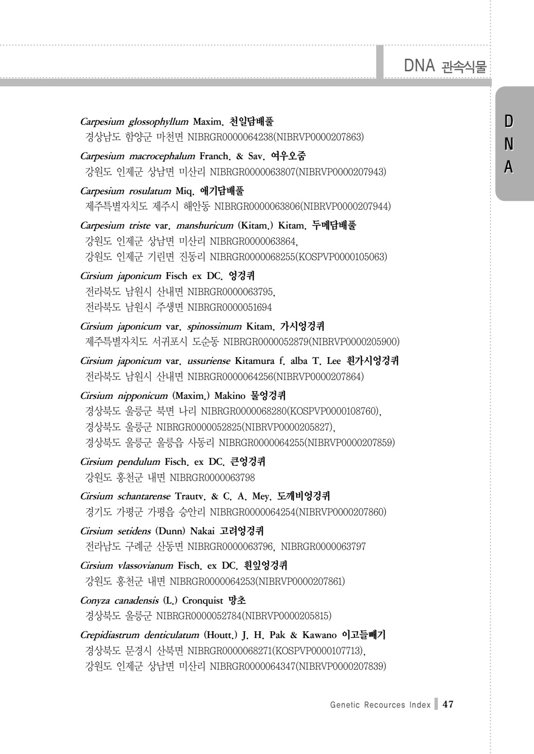 페이지