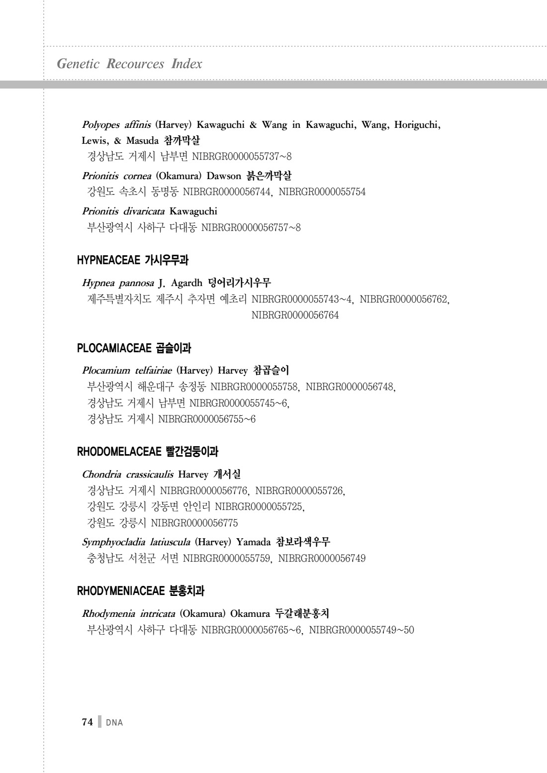 페이지