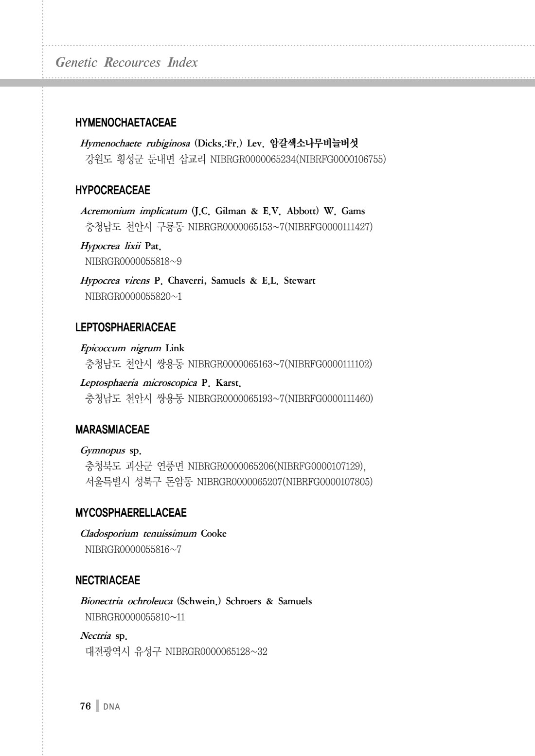페이지