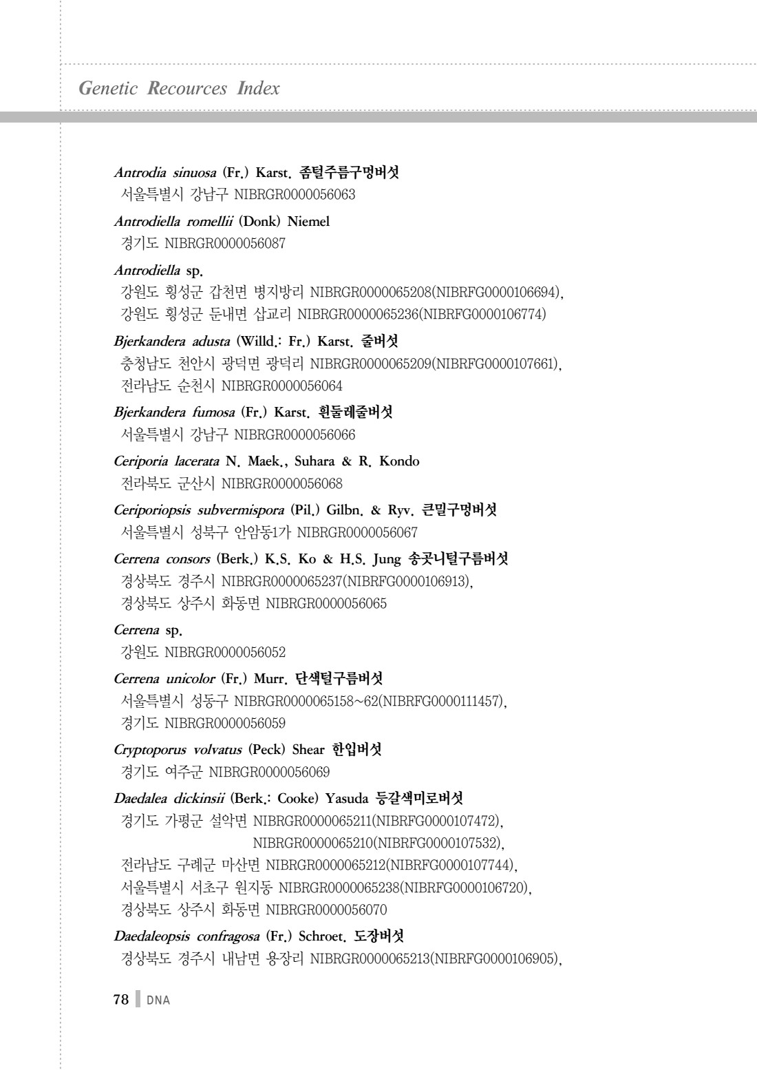 페이지