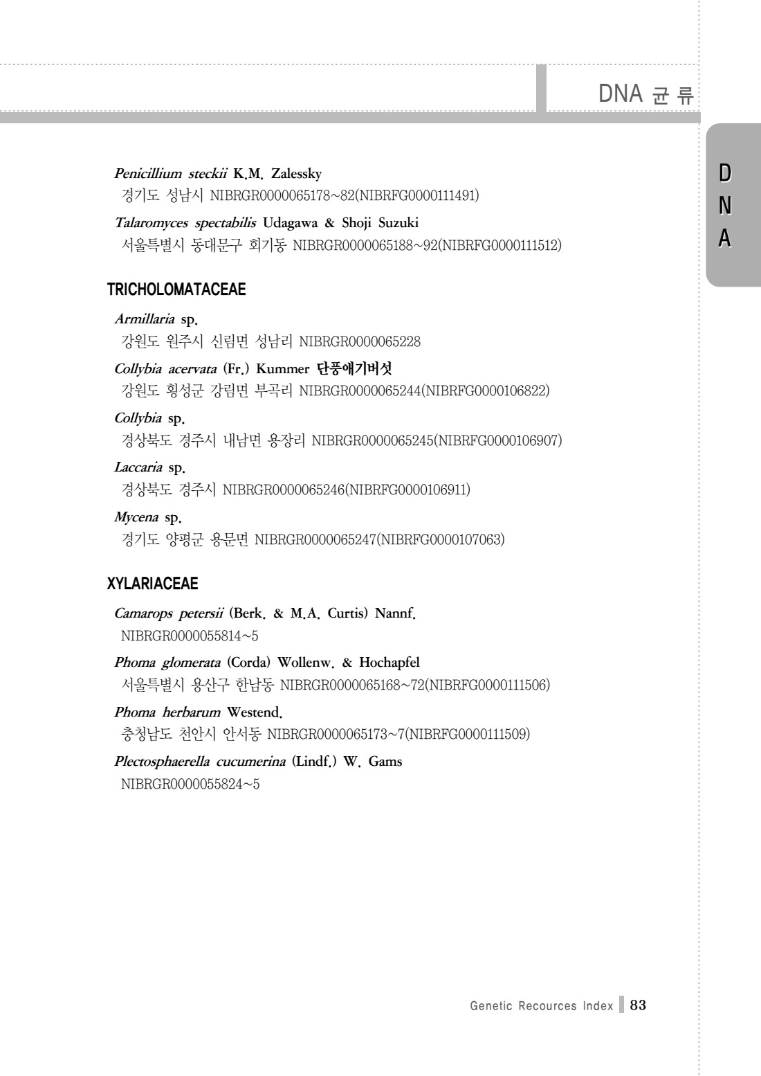 페이지
