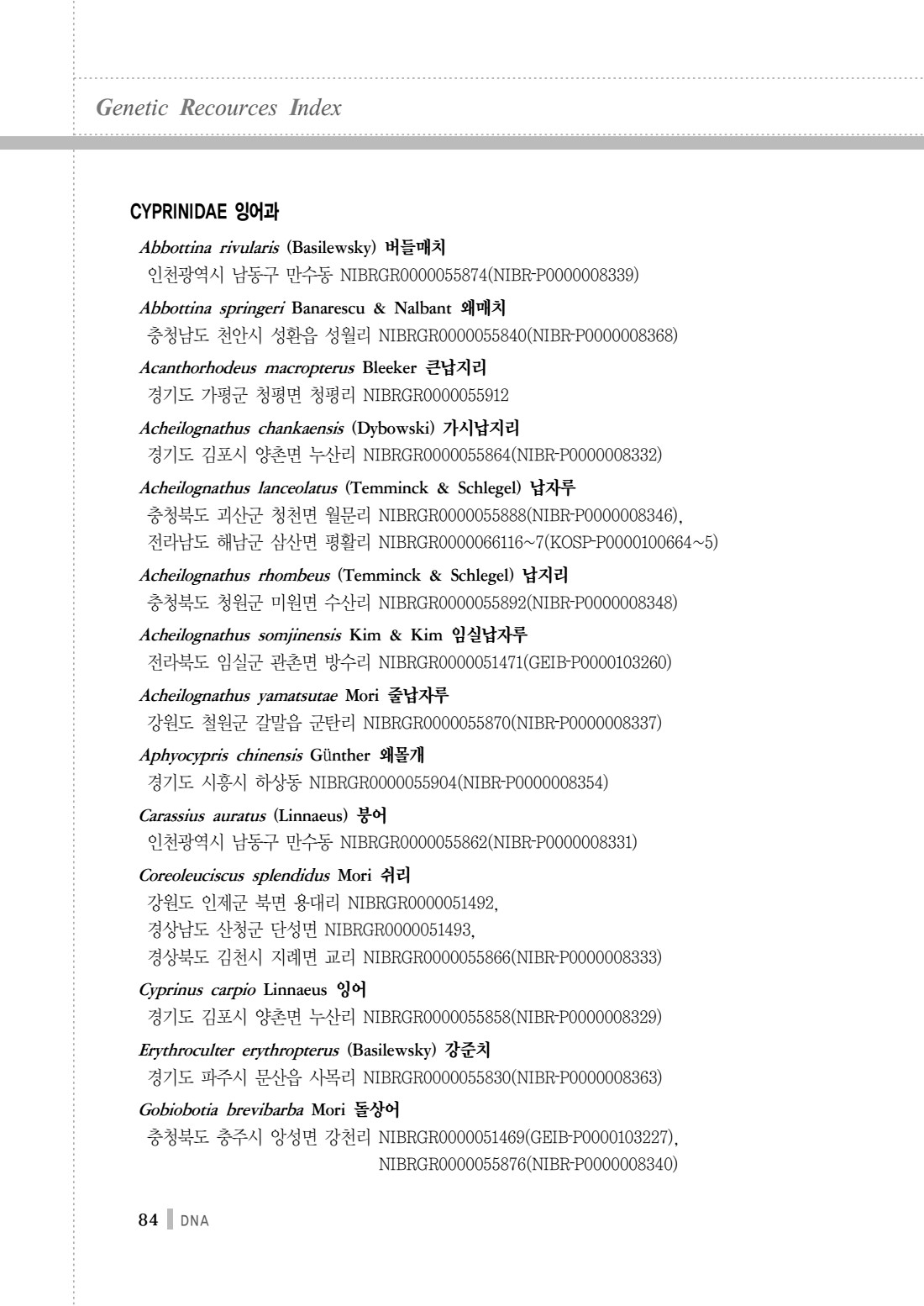 페이지