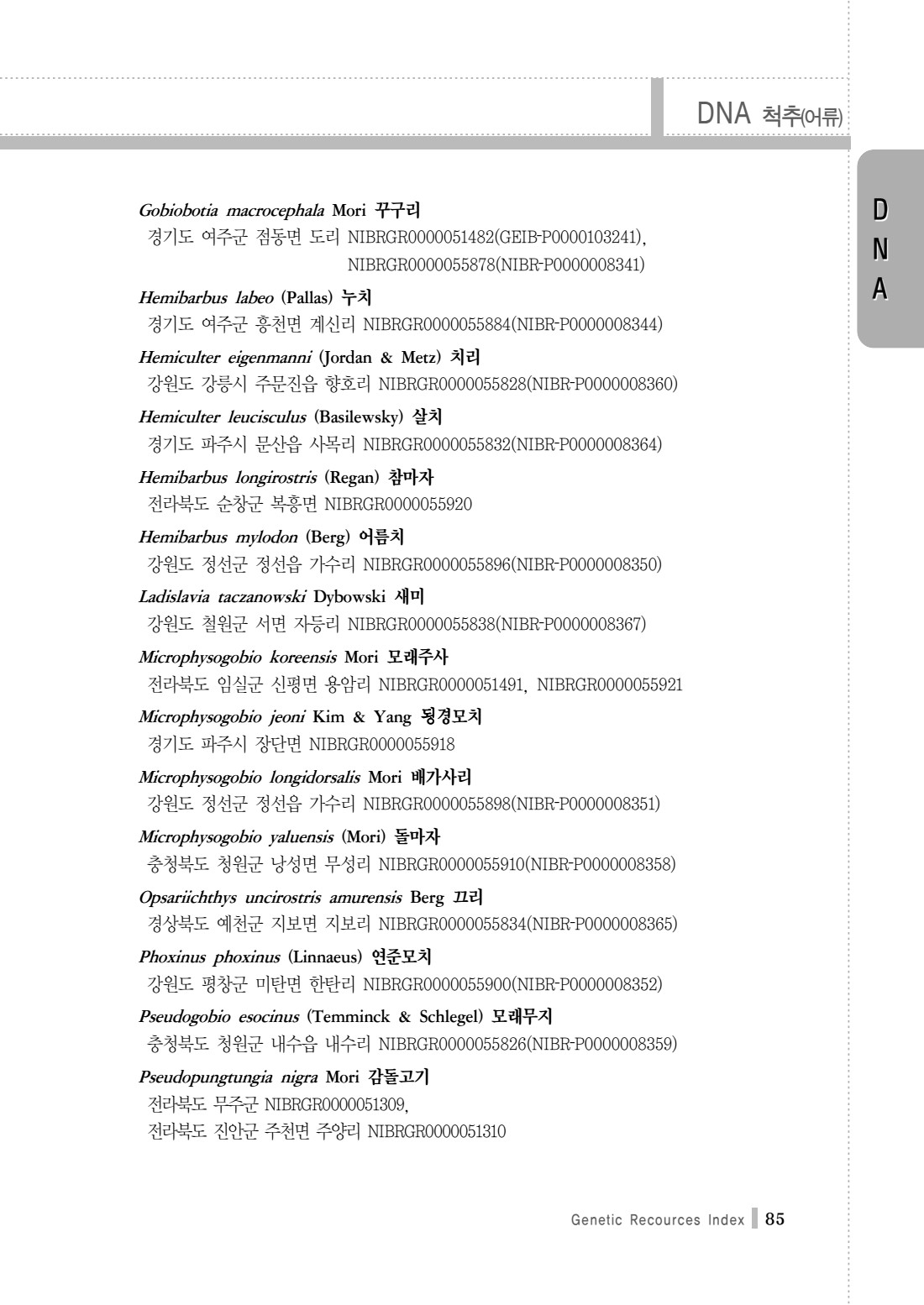 페이지