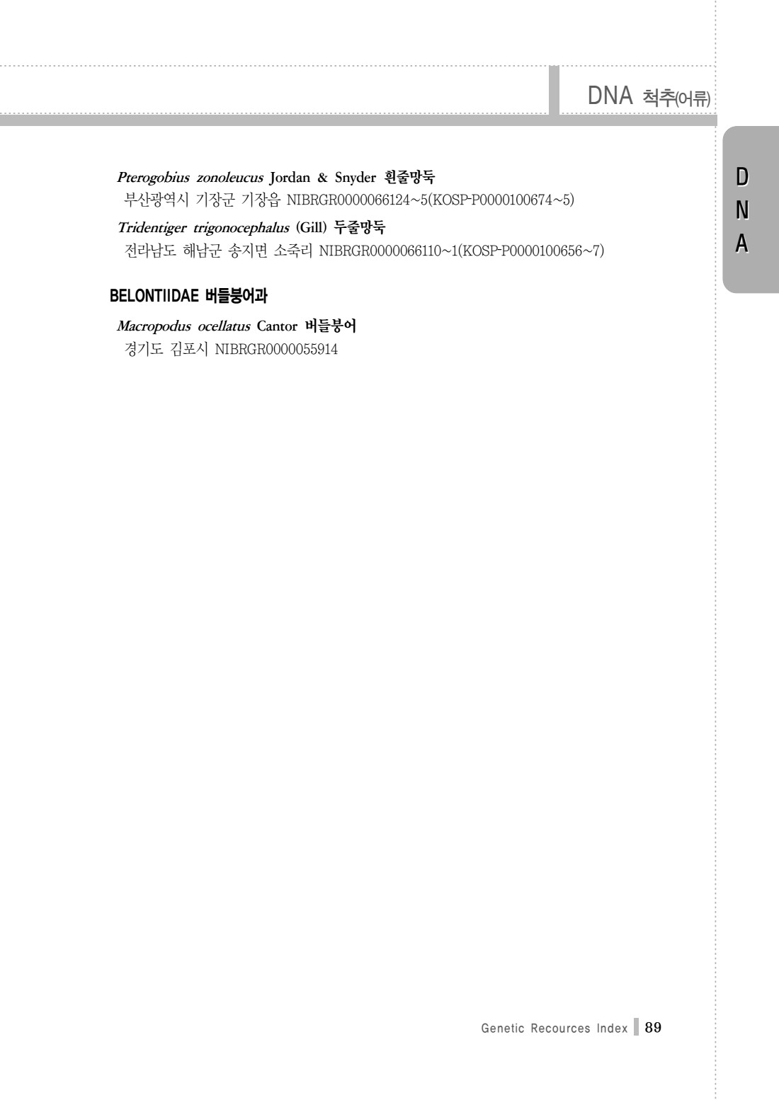 페이지