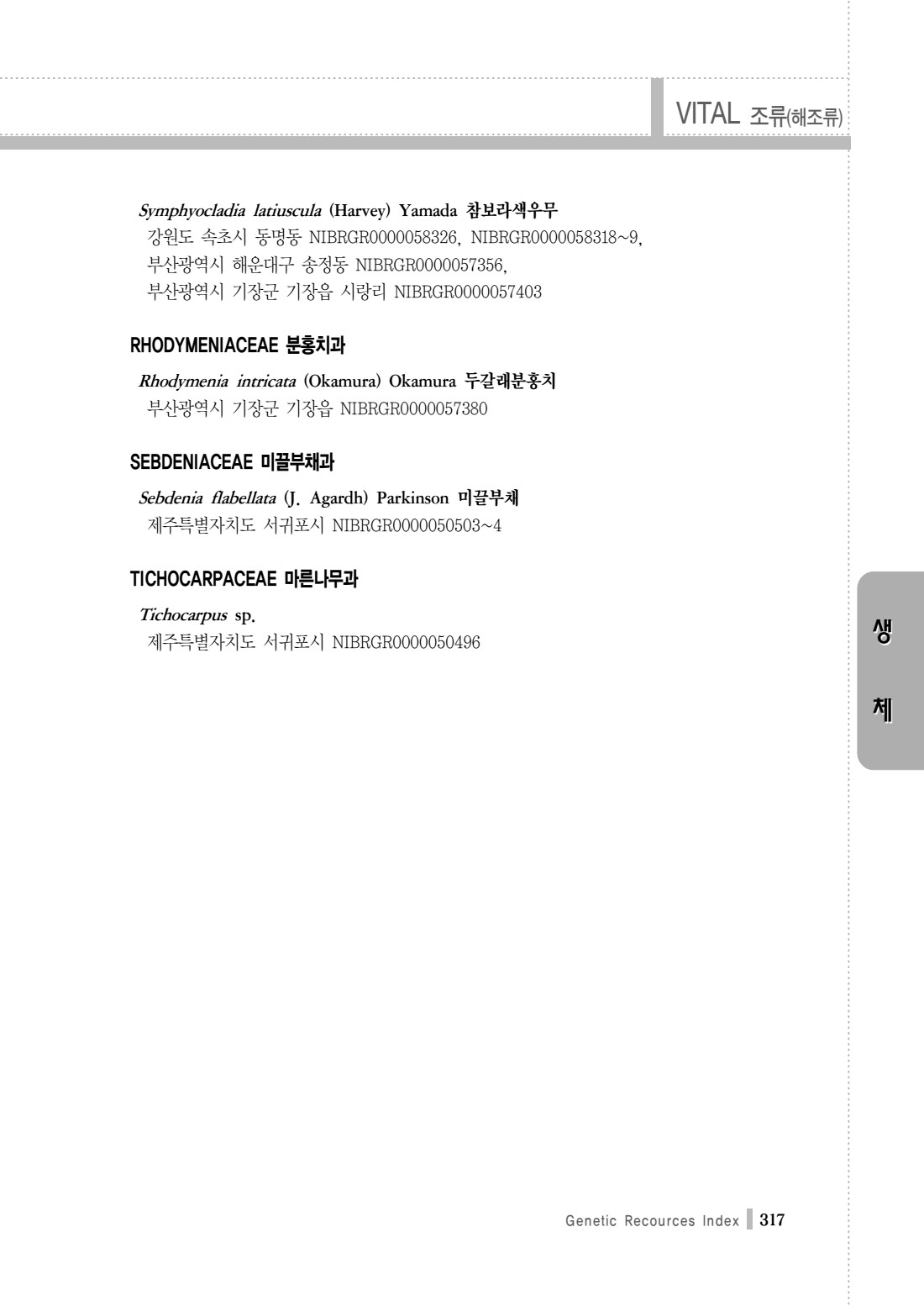 페이지