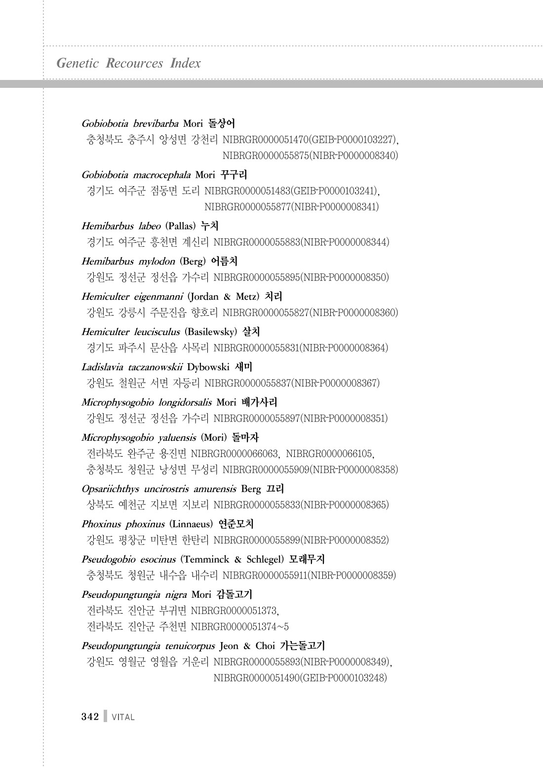 페이지
