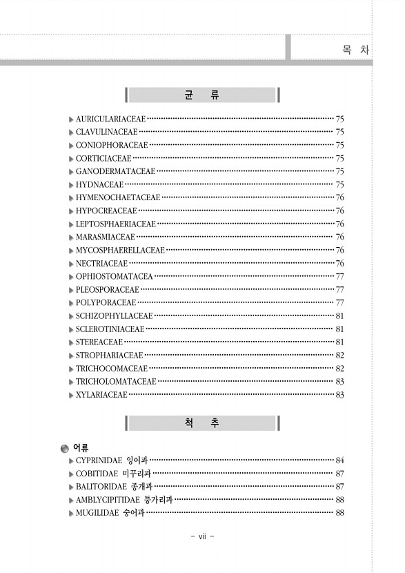 페이지