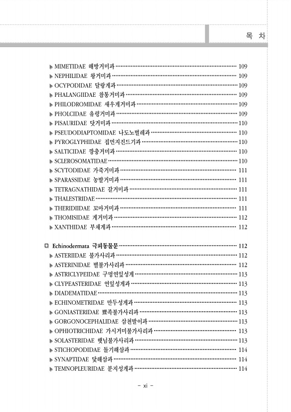 페이지