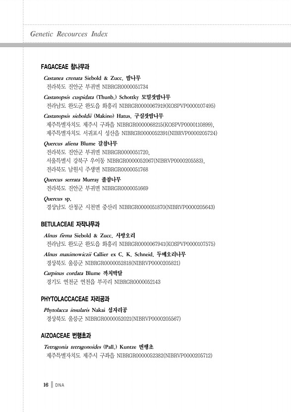 16페이지