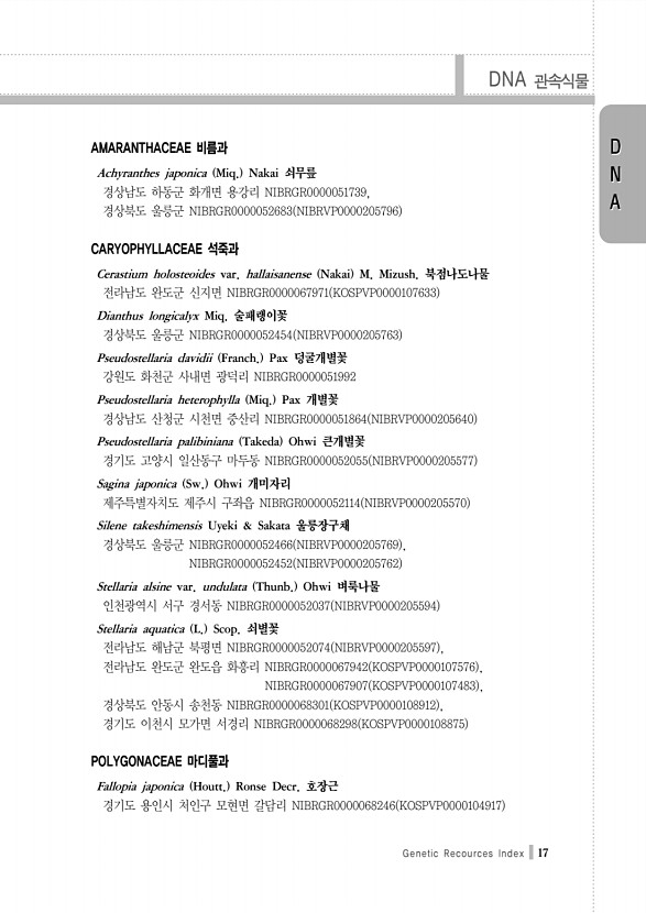 17페이지