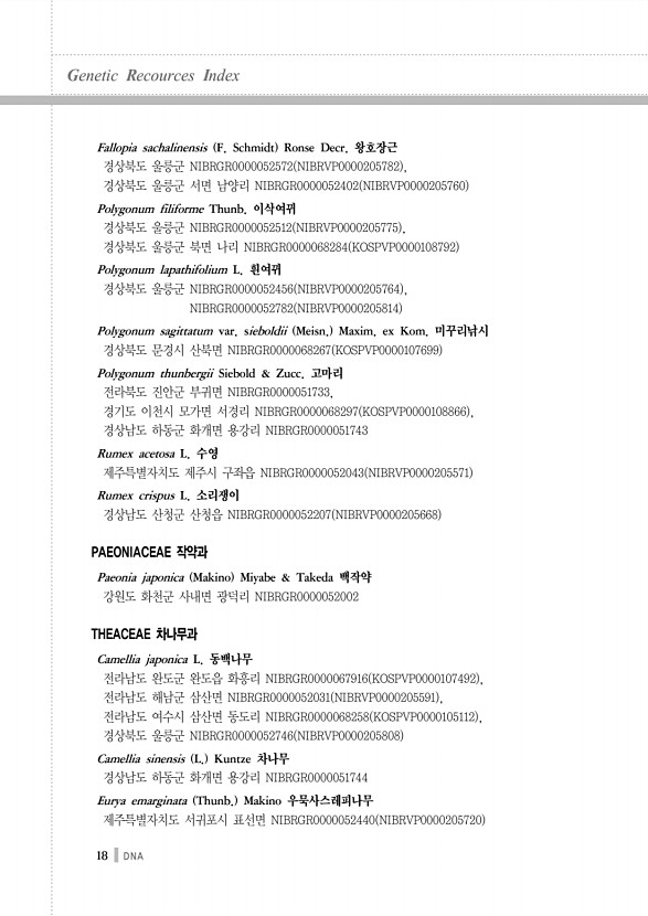 18페이지