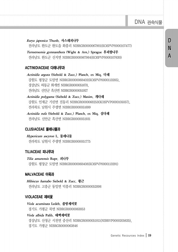19페이지