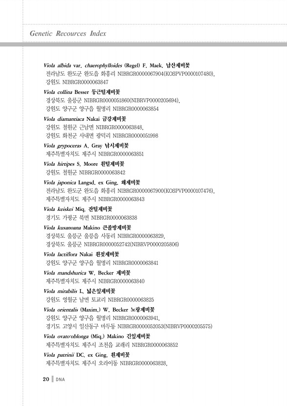 20페이지