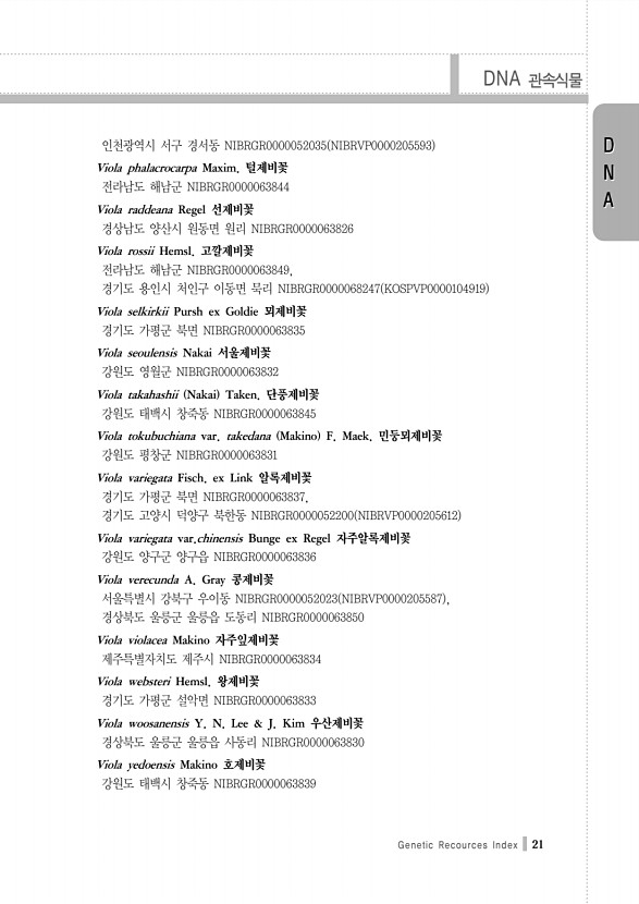 21페이지