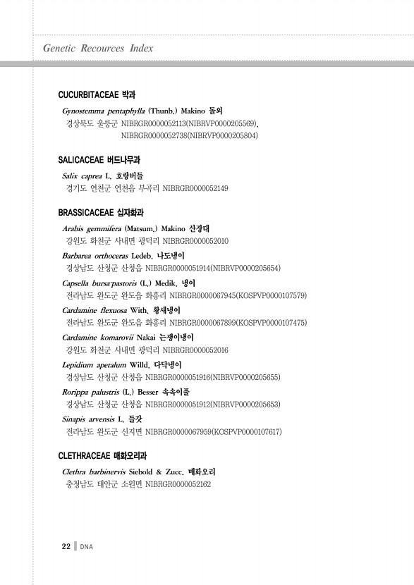 22페이지