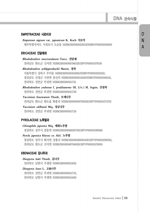 23페이지