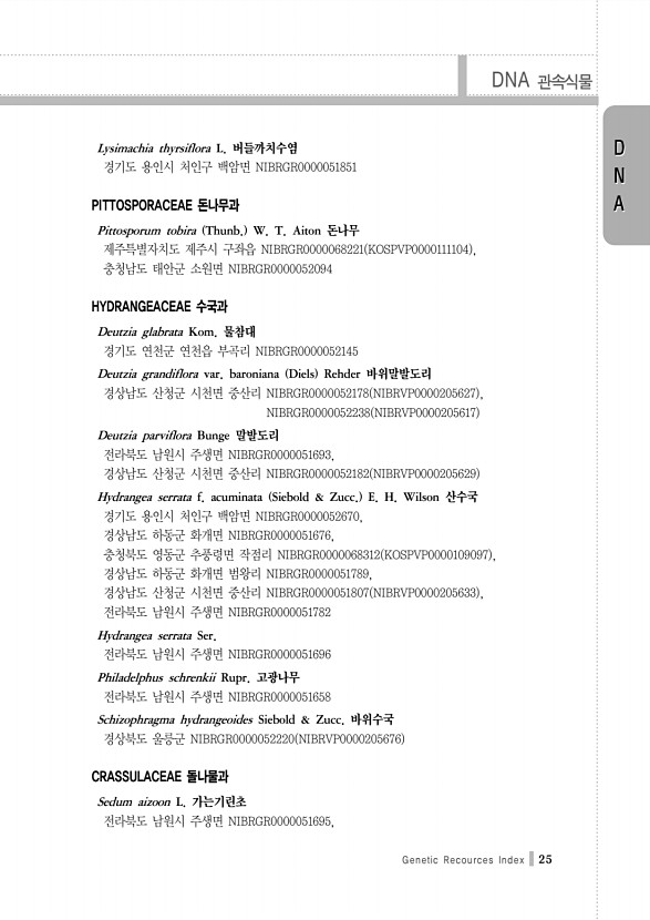 25페이지