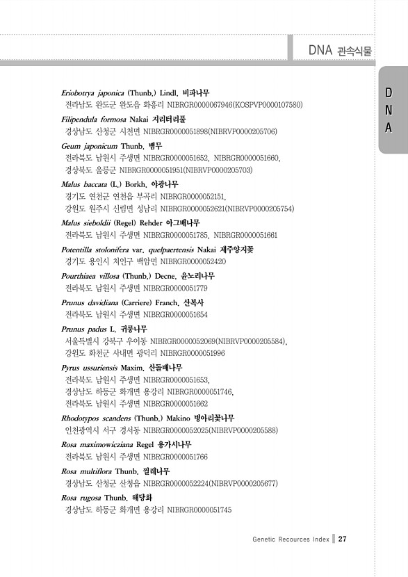 27페이지