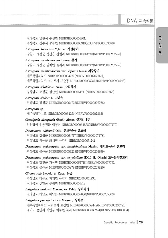 29페이지