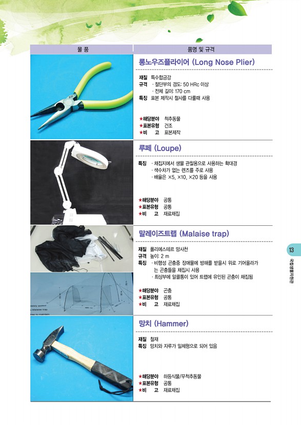 13페이지