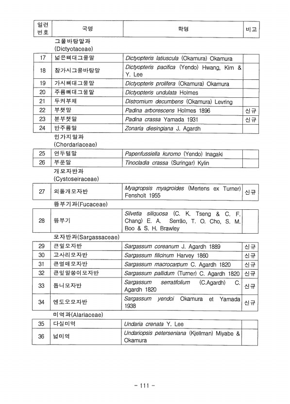 100페이지