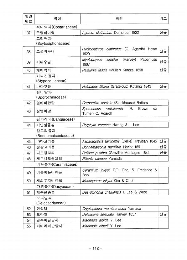 101페이지