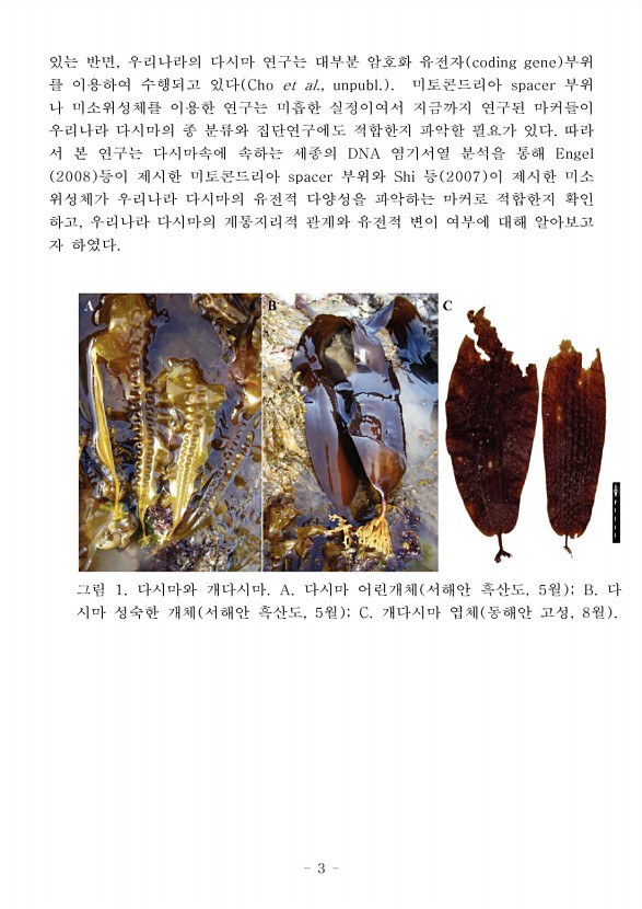 3페이지