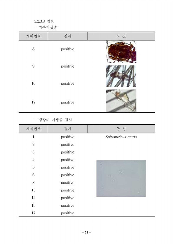 15페이지