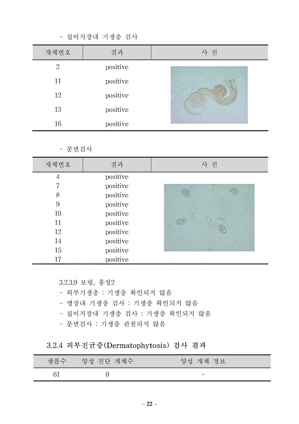 16페이지