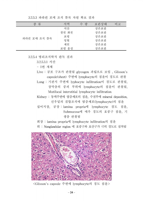 24페이지