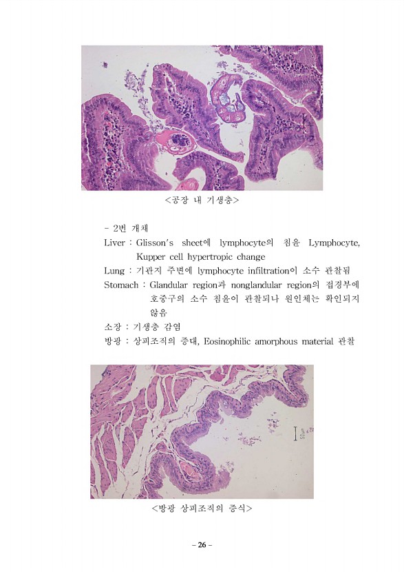 26페이지