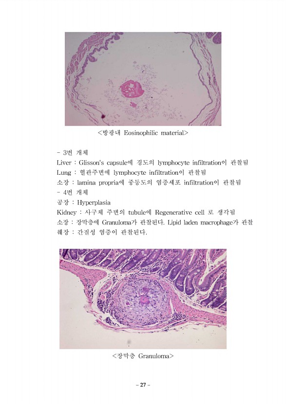 21페이지