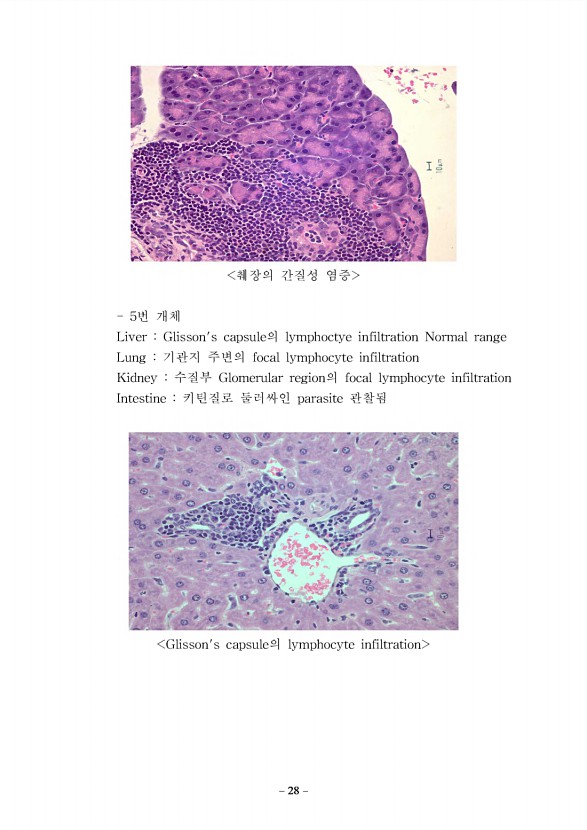 28페이지