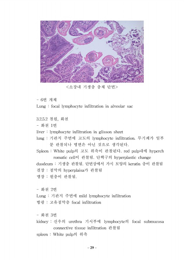 23페이지