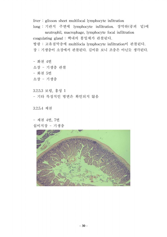 24페이지
