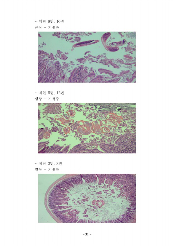 25페이지