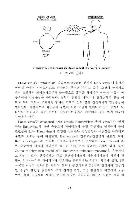 34페이지