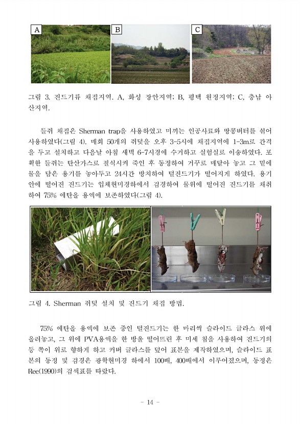 14페이지