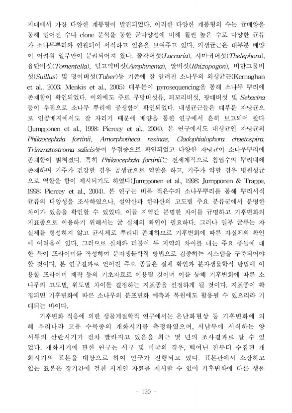 120페이지