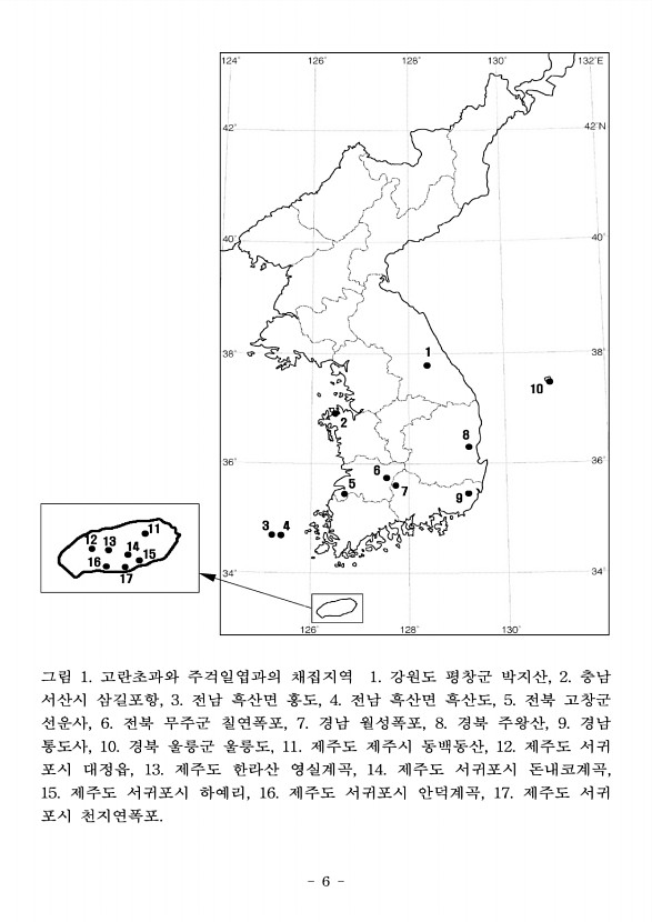 6페이지