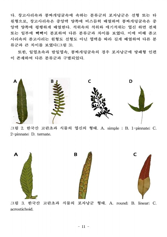 11페이지