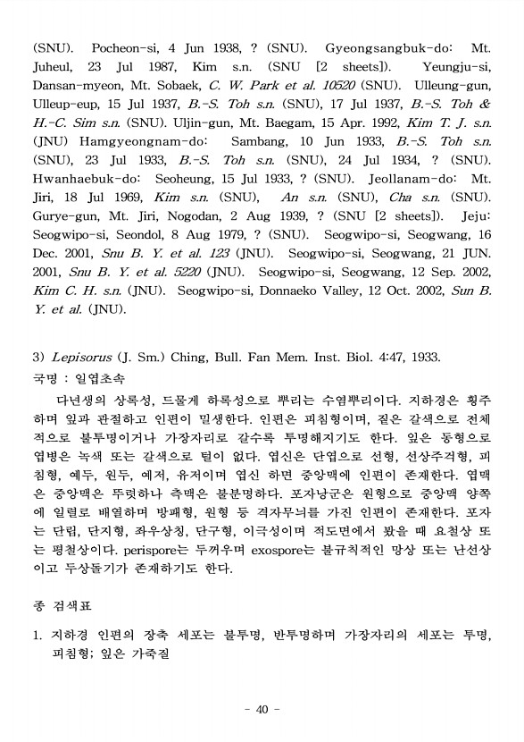 40페이지