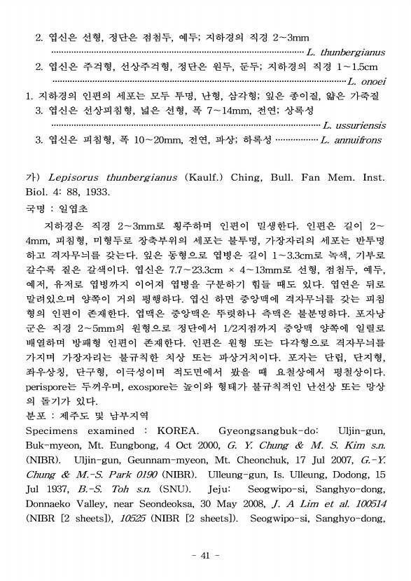 41페이지