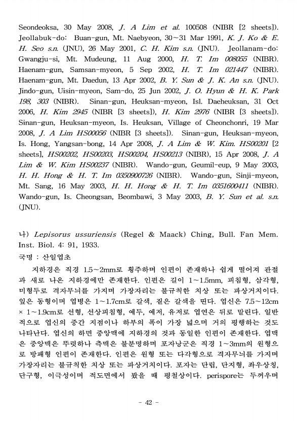42페이지